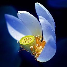 3D横板叙事恐怖游戏《过阴》试玩Demo上线 发售日期待定